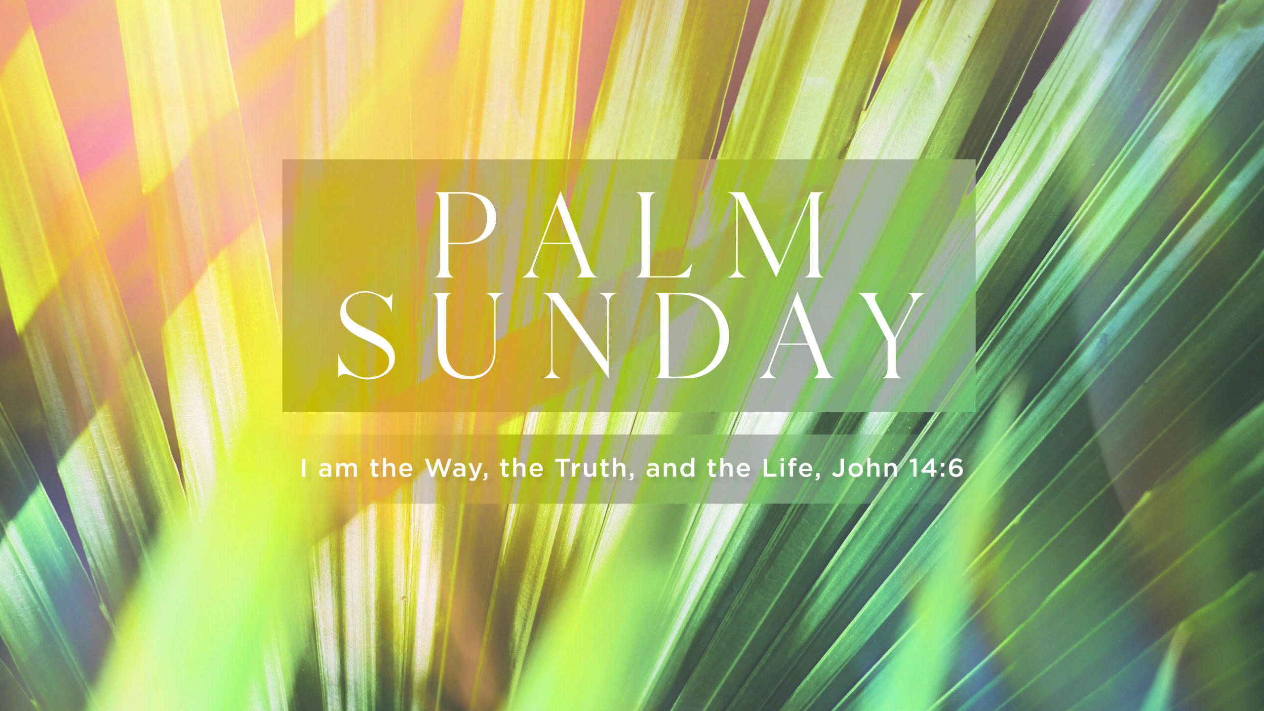 Palm Sunday